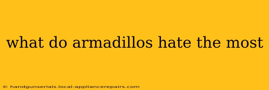 what do armadillos hate the most