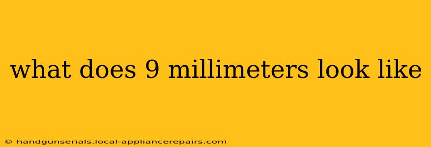 what does 9 millimeters look like