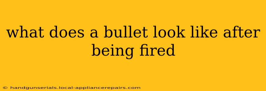 what does a bullet look like after being fired