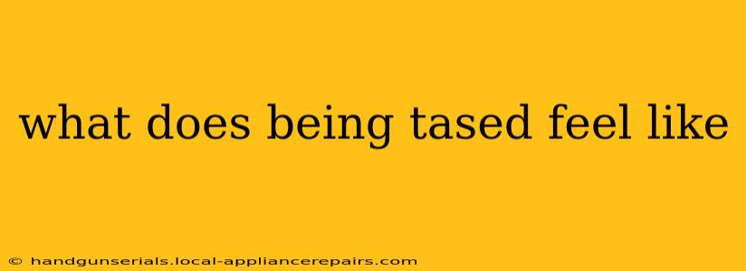 what does being tased feel like