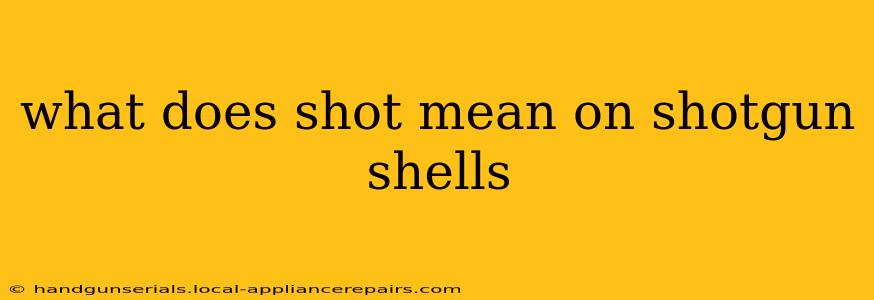 what does shot mean on shotgun shells