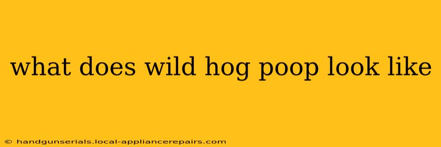 what does wild hog poop look like