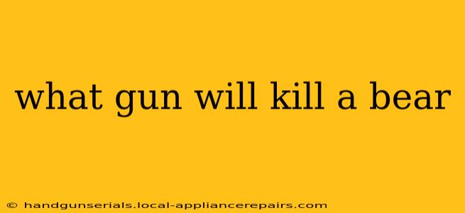 what gun will kill a bear