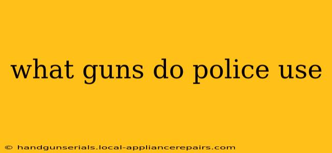 what guns do police use