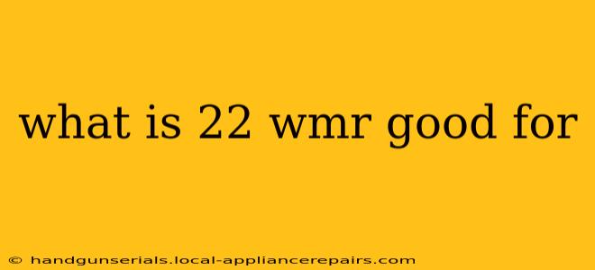 what is 22 wmr good for