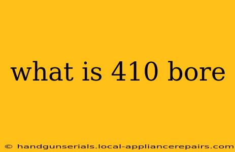 what is 410 bore