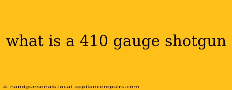 what is a 410 gauge shotgun