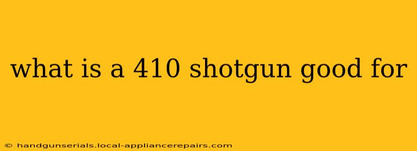 what is a 410 shotgun good for