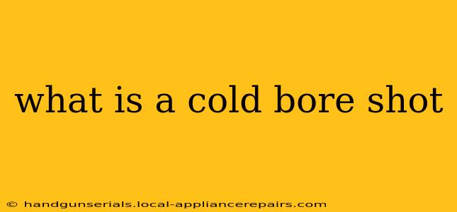 what is a cold bore shot