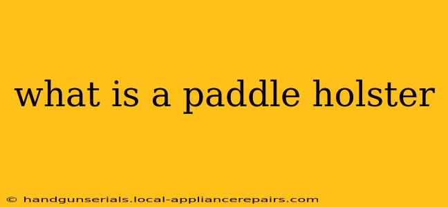 what is a paddle holster