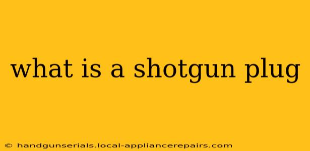 what is a shotgun plug