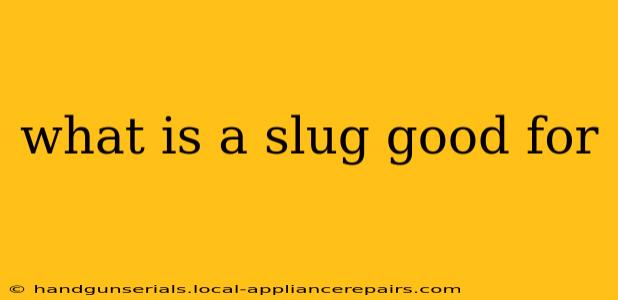 what is a slug good for