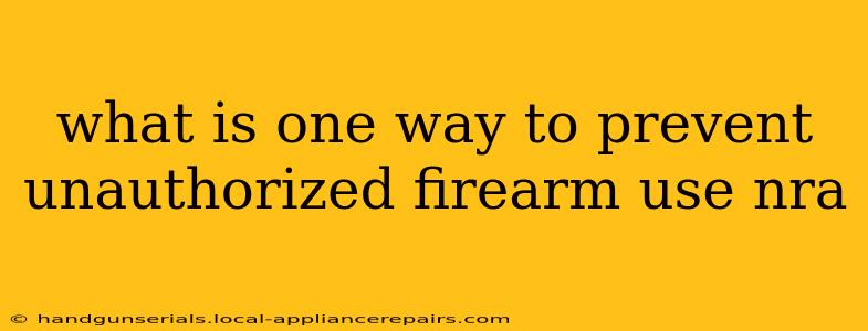 what is one way to prevent unauthorized firearm use nra