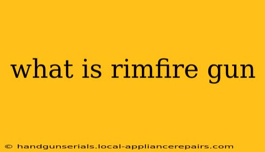 what is rimfire gun