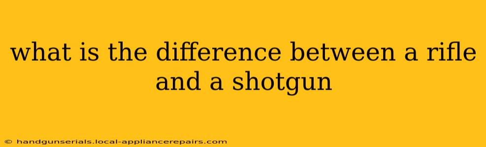 what is the difference between a rifle and a shotgun