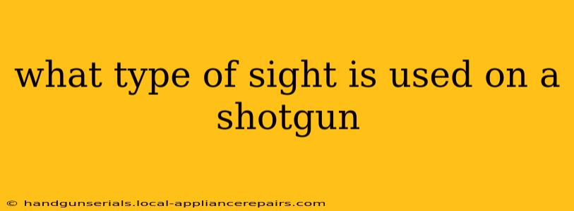 what type of sight is used on a shotgun