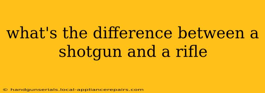 what's the difference between a shotgun and a rifle