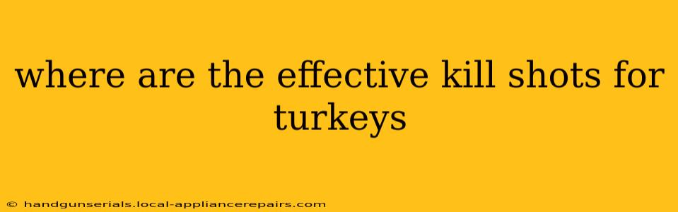 where are the effective kill shots for turkeys