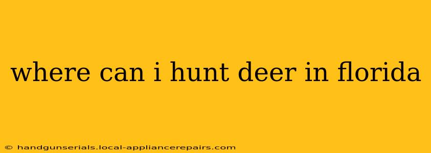 where can i hunt deer in florida