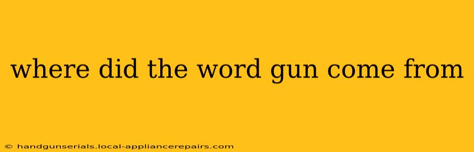 where did the word gun come from