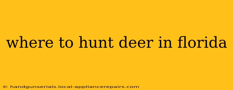 where to hunt deer in florida