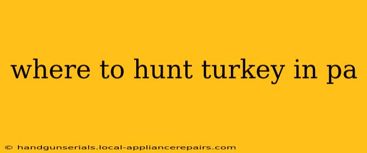 where to hunt turkey in pa