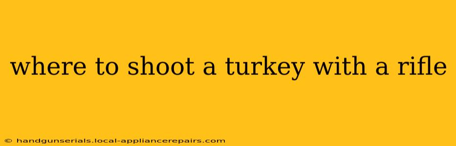 where to shoot a turkey with a rifle