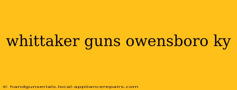 whittaker guns owensboro ky