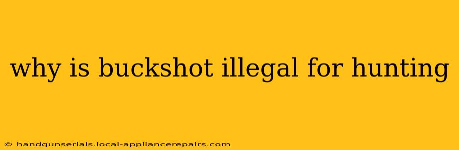 why is buckshot illegal for hunting