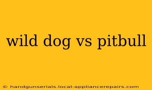 wild dog vs pitbull