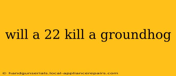 will a 22 kill a groundhog