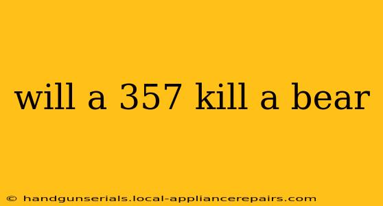 will a 357 kill a bear