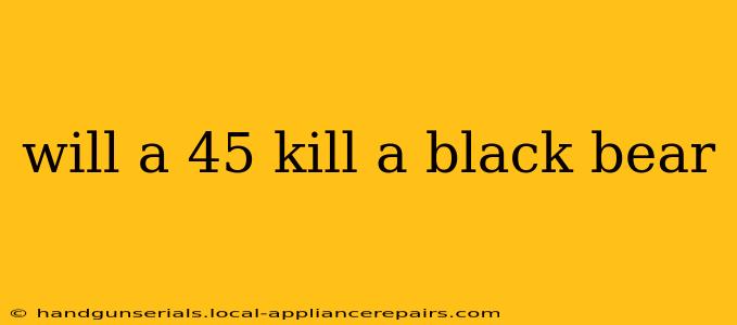 will a 45 kill a black bear