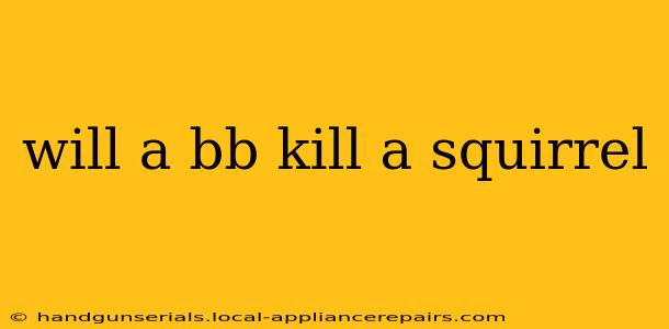 will a bb kill a squirrel