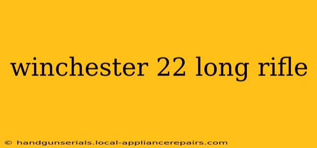 winchester 22 long rifle