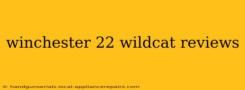 winchester 22 wildcat reviews