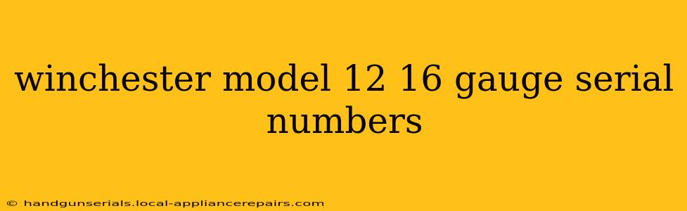 winchester model 12 16 gauge serial numbers