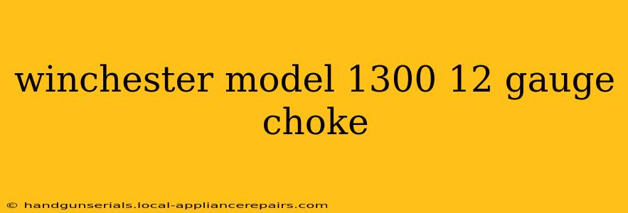 winchester model 1300 12 gauge choke