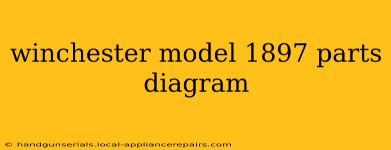 winchester model 1897 parts diagram