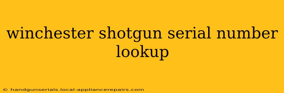 winchester shotgun serial number lookup