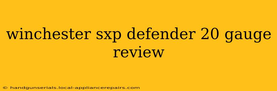 winchester sxp defender 20 gauge review