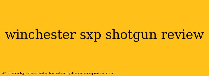 winchester sxp shotgun review